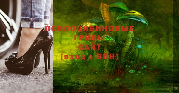 спайс Пестово